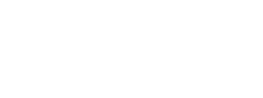 Dropship Academy X